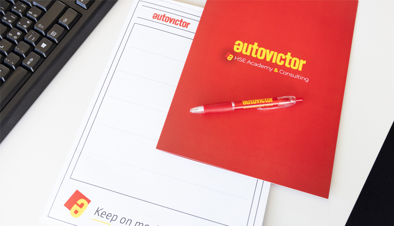 HSE Consulting Autovictor